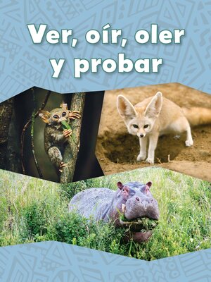 cover image of Ver, oír, oler y probar (See, Hear, Smell, and Taste)
